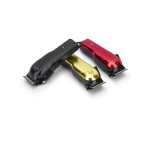 Gamma+ Absolute Alpha